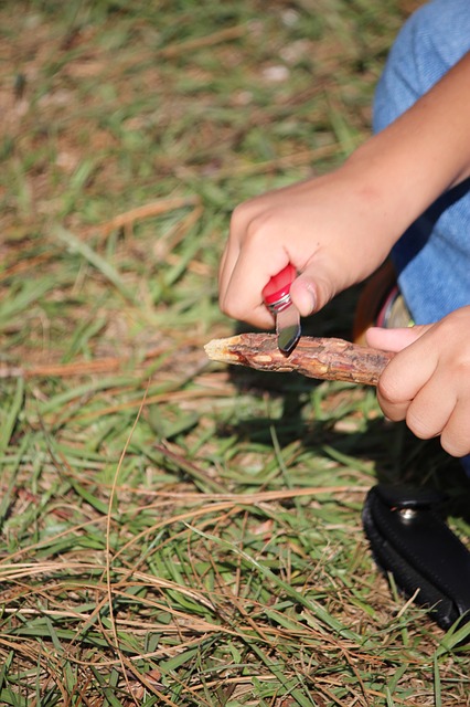 Tags: whittling, scouts, summer